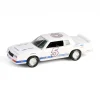 Manufacturer_Greenlight Collectibles Cars & Suvs<1/64 1983 Chevrolet Monte Carlo, Hendrick Motorsports First Test Car Tribute, Hobby Exclusive