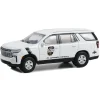 Manufacturer_Greenlight Collectibles Cars & Suvs<1/64 2023 Chevrolet Tahoe High Country, 107th Indianapolis 500 Official Truck, Hobby Exclusive
