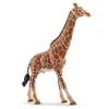 Manufacturer_Schleich Play Animals & Accessories<Giraffe Male by Schleich