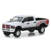 Manufacturer_Greenlight Collectibles Pickup Trucks<1/64 2016 Ram 2500 Power Wagon, Bright White Clearcoat, Hobby Exclusive