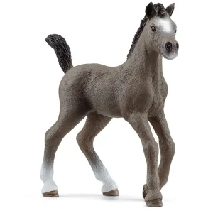 Manufacturer_Schleich Play Animals & Accessories<Selle Francais Foal by Schleich